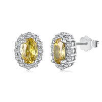 [Polaidi Jewelry ]Delicate Unique Oval Cut Daily Earrings
